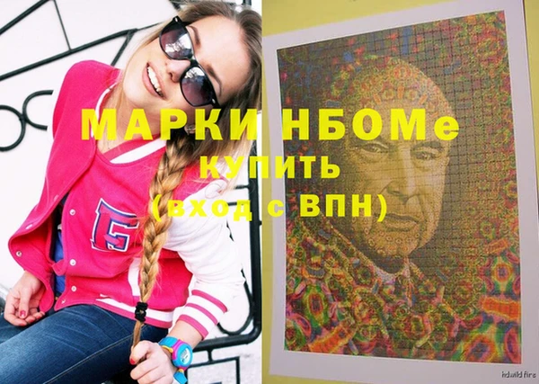 шишки Горняк