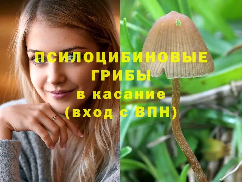 Галлюциногенные грибы мицелий Клинцы