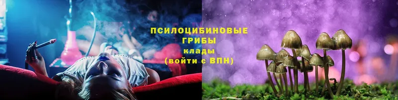 наркошоп  Клинцы  Галлюциногенные грибы Magic Shrooms 